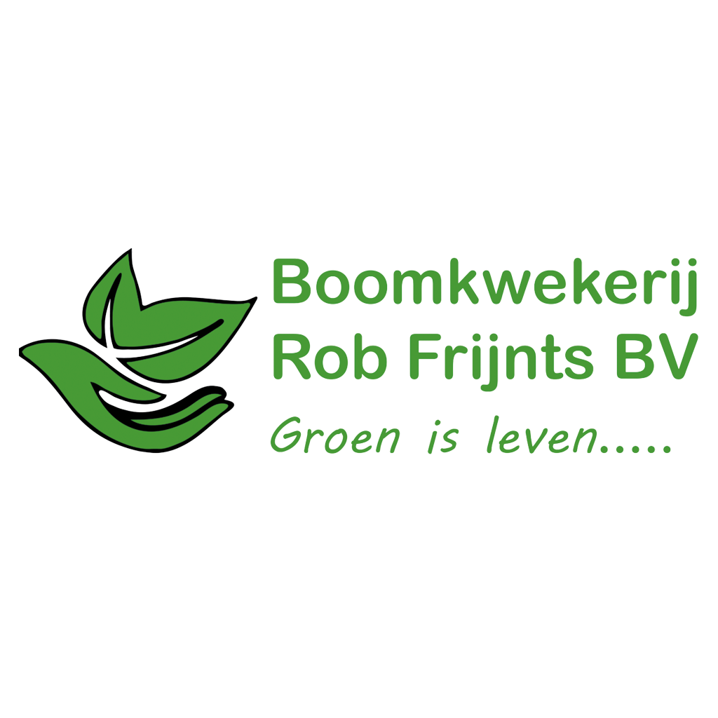Rob Frijnts